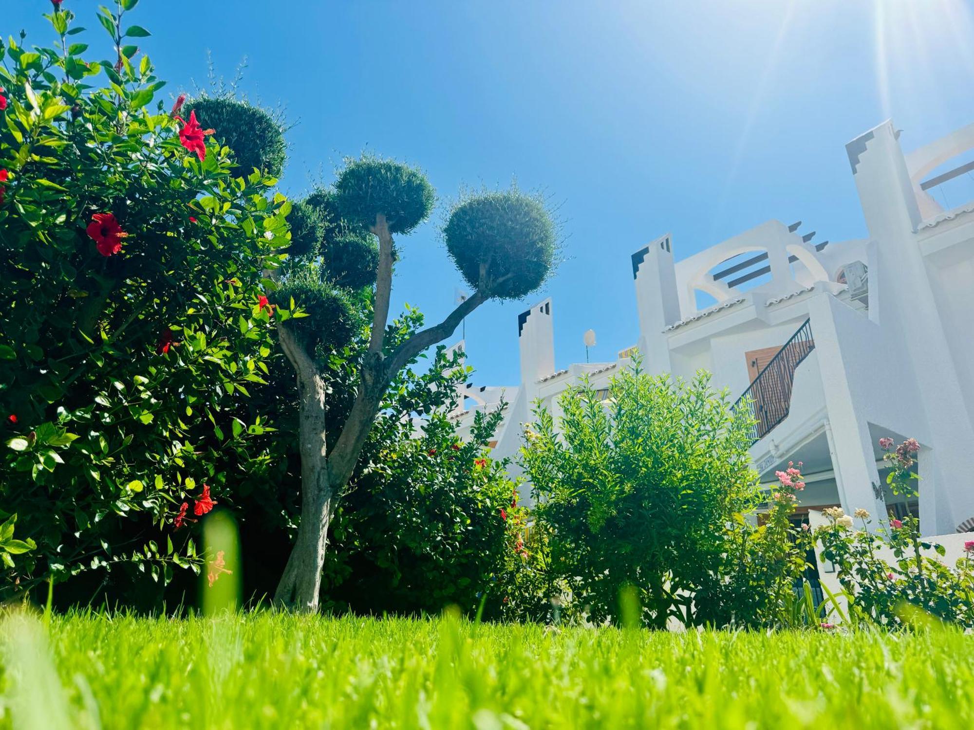 Contemporary House In Cabo Roig Villa Orihuela Buitenkant foto